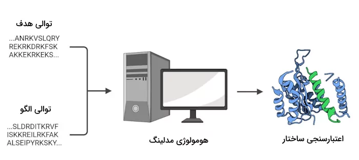 هومولوژی مدلینگ