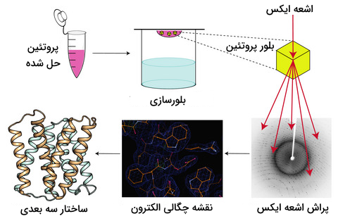 روند بلور نگاری اشعه ایکس