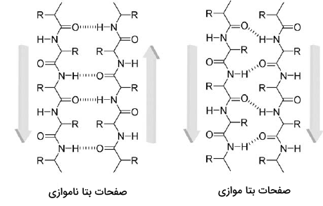 صفحات بتا موازی و ناموازی