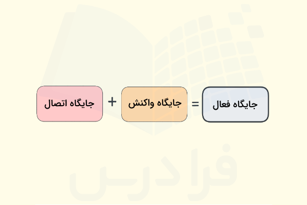 ساختار جایگاه فعال آنزیم ها 
