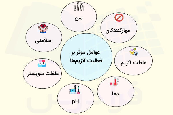 تمام عوامل موثر بر فعالیت آنزیم های بدن