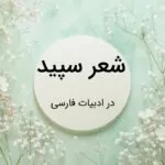 شعر سپید چیست و چه قواعدی دارد؟ – توضیح به زبان ساده