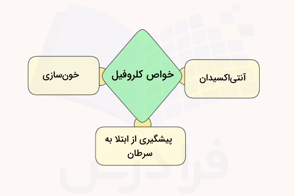 خواص کلروفیل برای بدن انسان