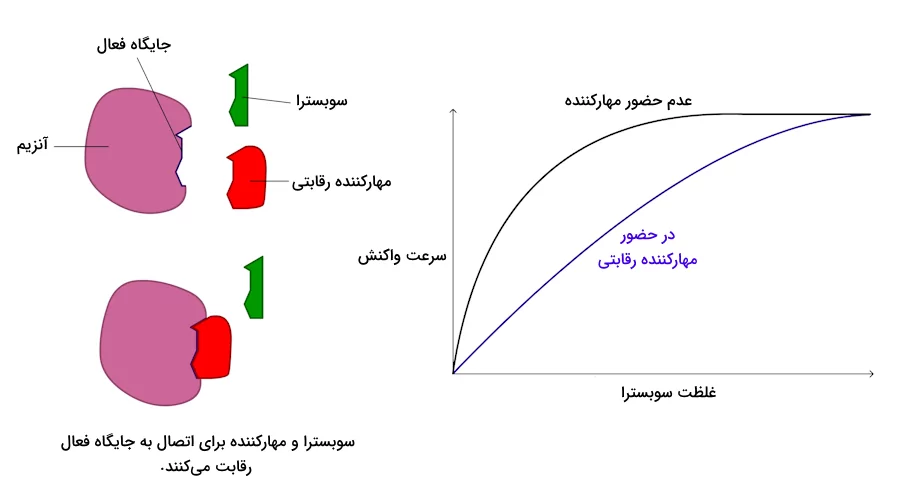 نمودار تغییر سرعت واکنش در حضور مهارکننده رقابتی