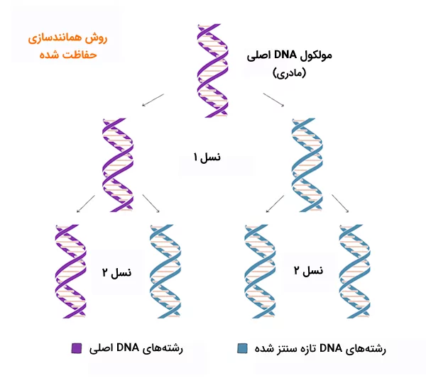 نسل‌های یک و دو در روش همانندسازی حفاظت شده DNA