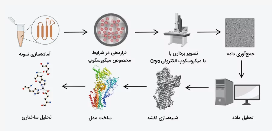 روند تعیین ساختار پروتئين با استفاده از میکروسکوپ الکترونی کرایو