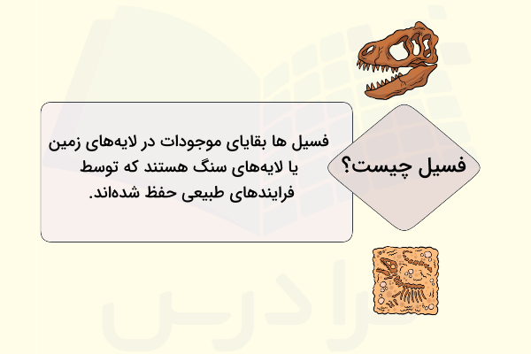 تعریف فسیل - فسیل چیست