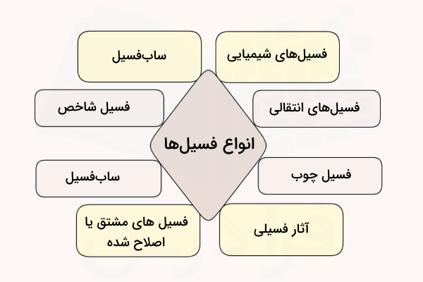 انواع فسیل چیست