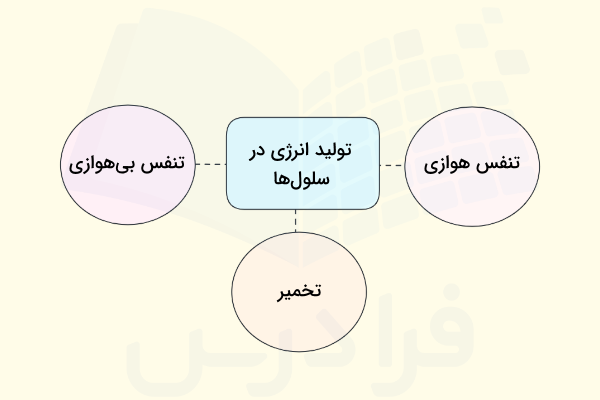 روش های تولید انرژی شیمیایی در سلول ها