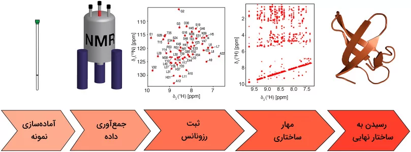 اصول و مراحل طیف سنجی NMR برای تعیین سطوح مختلف ساختاری پروتئین