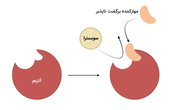 مهار برگشت ناپذیر