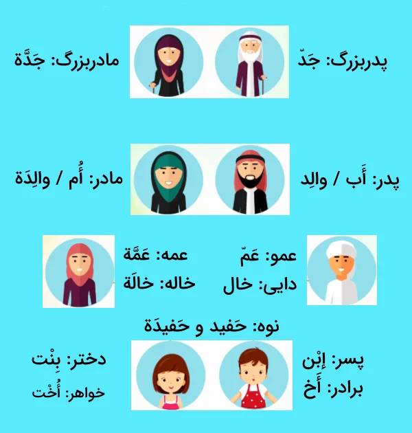 اعضای خانواده به عربی