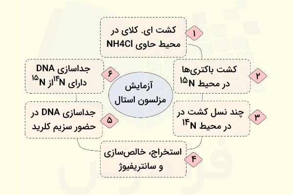 مراحل آزمایش مزلسون و استال