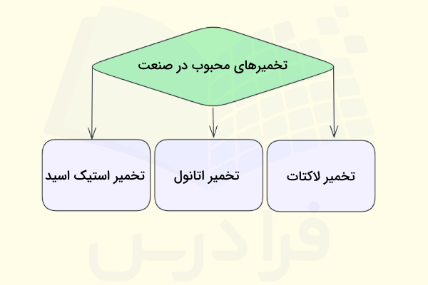 انواع تخمیر - تخمیرهای صنعتی پرکاربرد