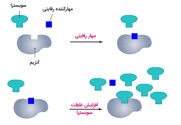 مهار برگشت پذیر