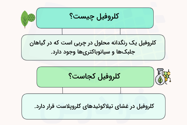 تعریف کلروفیل چیست و موقعیت آن در سلول