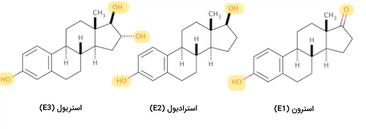 ساختار مولکولی انواع هورمون های استروژن