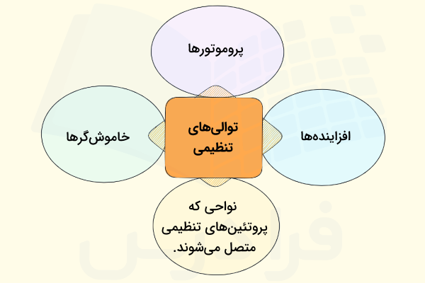توالی های تنظیمی در رونویسی چیست