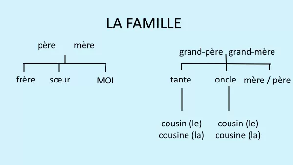 تصویری از نمودار روابط خانوادگی و واژگان اعضای خانواده به فرانسه