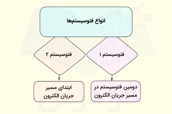 انواع فوتوسیستم ها و موقعیت هر یک از آن ها در مسیر جریان الکترون