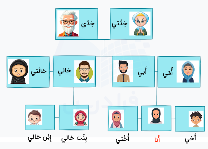 اعضای خانواده به عربی