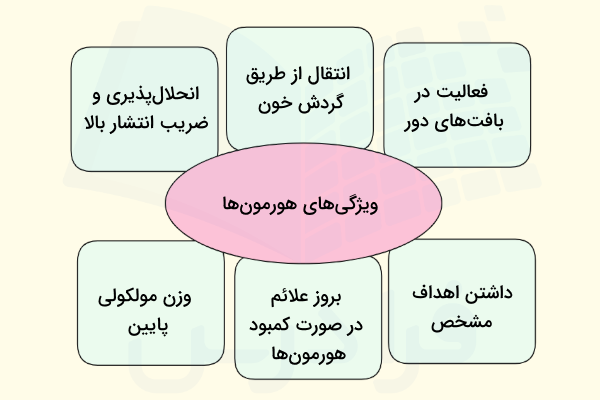 ویژگی های هورمون ها