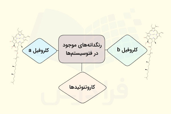 انواع رنگدانه های فتوسیستم ها