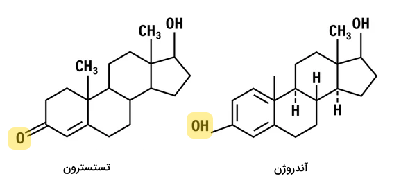 ساختار مولکولی تستسترون و آندروژن‌