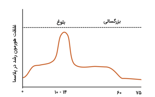 نمودار ترشح هورمون رشد در سنین مختلف