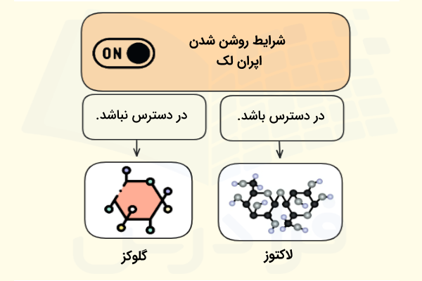 دو شرط لازم برای روشن شدن اپران لک یا اپران لاکتوز - اپران لک چیست