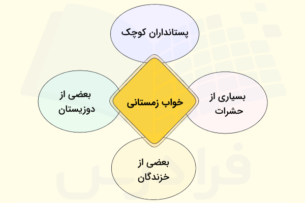 خواب زمستانی حیوانات - زمستان خوابی