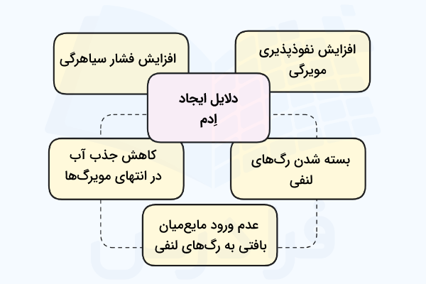 دلایل ایجاد تورم موضعی یا ادم
