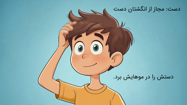 مثال مجاز به علاقه کلیه