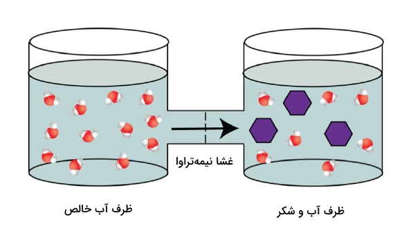 انتقال مولکول‌های آب از ظرف حاوی آب خالص به ظرف محلول آب و شکر به دلیل فشار اسمزی