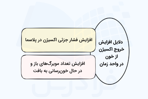 دلایل افزایش خروج اکسیژن از خون در واحد زمان