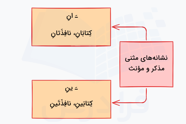 نشانه های اسم های مثنی مذکر و مونث در عربی