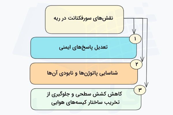 وظیفه های اصلی سورفکتانت ریوی