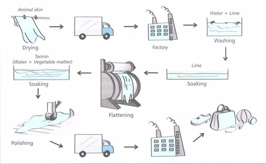 تصویر process برای رایتینگ آیلتس تسک ۱