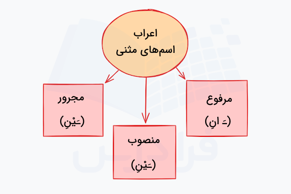 اعراب اسم های مثنی در عربی
