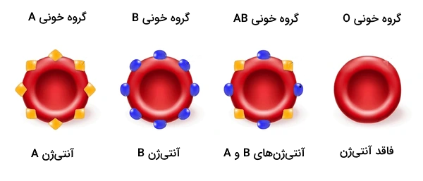 انواع آنتی ژن های موجود روی گلبول های قرمز افراد مختلف