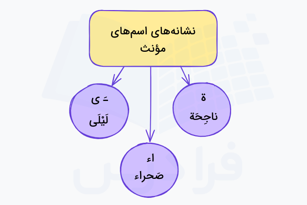 نشانه های اسم های مونث در عربی