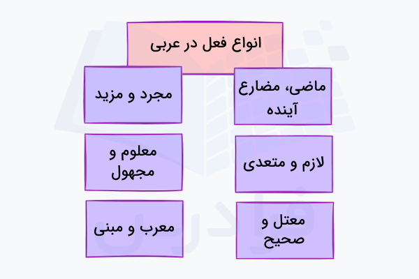 انواع فعل در عربی
