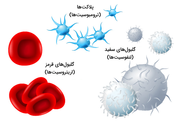 تصویری از گلبول های سفید و قرمز و پلاکت ها