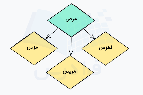 کلمات هم ریشه عربی