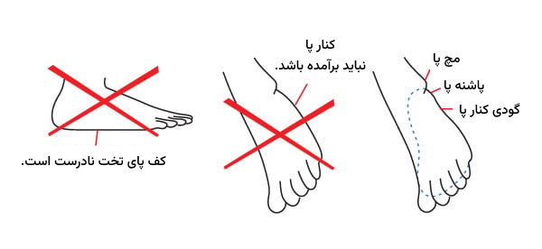 شکل درست آناتومی بخش های مختلف پا