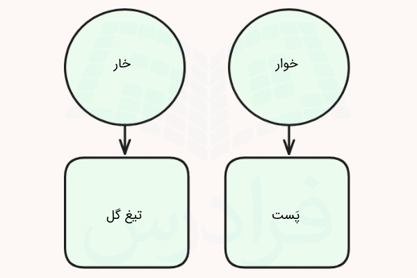 تفاوت خوار و خار