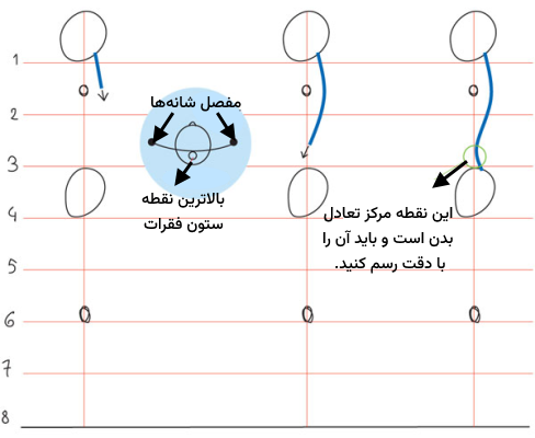 رسم ستون فقرات و نحوه انحنای خط