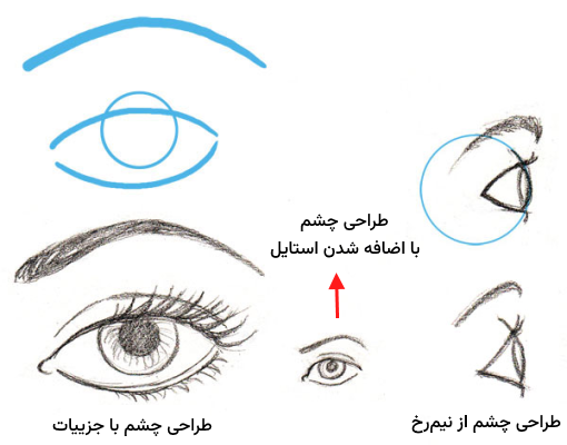 طراحی گوش از زوایای مختلف کنار و روبه‌رو - طراحی آناتومی بدن انسان