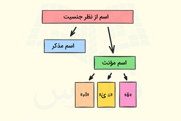 اسم از نظر جنسیت در عربی