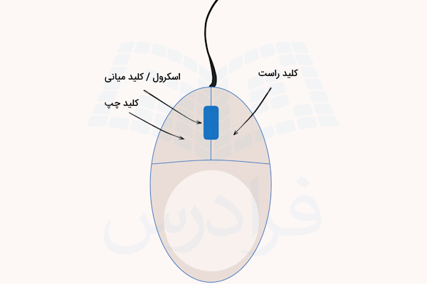 ساختار یک مأوس